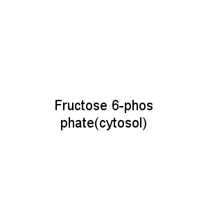 Fructose 6-phosphate(cytosol)
